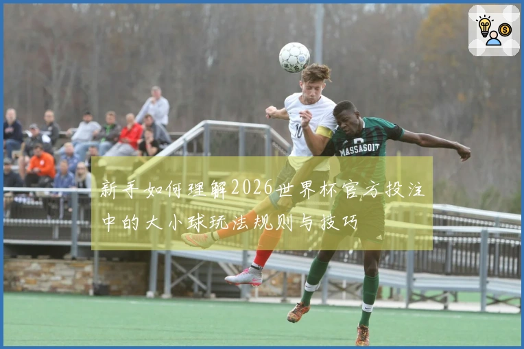 新手如何理解2026世界杯官方投注中的大小球玩法规则与技巧